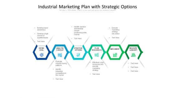 Industrial Marketing Plan With Strategic Options Ppt PowerPoint Presentation Gallery Diagrams PDF