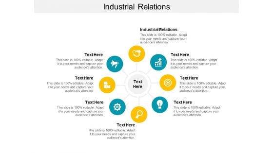 Industrial Relations Ppt PowerPoint Presentation Pictures Gallery Cpb
