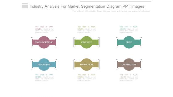 Industry Analysis For Market Segmentation Diagram Ppt Images