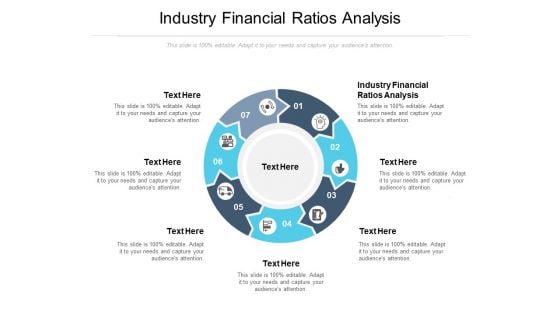 Industry Financial Ratios Analysis Ppt PowerPoint Presentation File Portrait Cpb