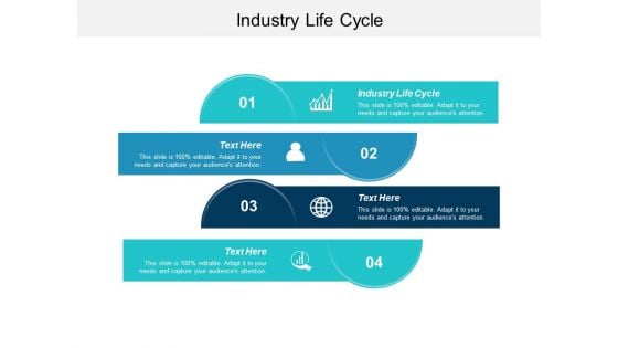 Industry Life Cycle Ppt PowerPoint Presentation File Topics Cpb