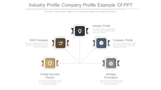 Industry Profile Company Profile Example Of Ppt