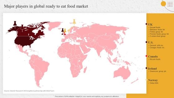 Industry Report Of Packaged Food Products Part 1 Major Players In Global Ready To Eat Food Market Sample PDF