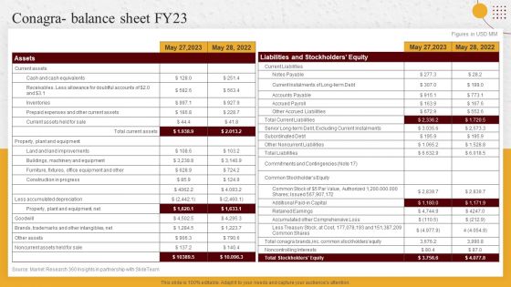 Industry Report Of Packaged Food Products Part 2 Conagra Balance Sheet Fy23 Portrait PDF