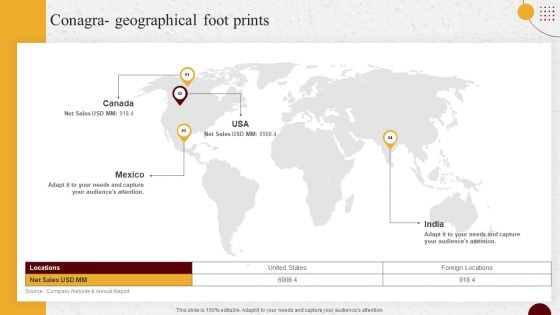 Industry Report Of Packaged Food Products Part 2 Conagra Geographical Foot Prints Mockup PDF