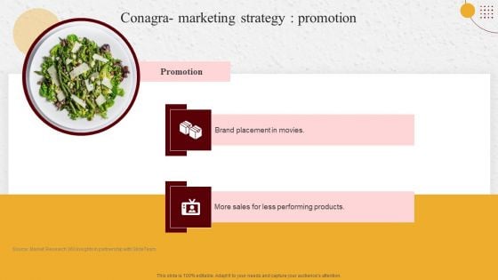 Industry Report Of Packaged Food Products Part 2 Conagra Marketing Strategy Promotion Download PDF