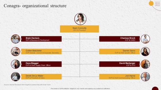 Industry Report Of Packaged Food Products Part 2 Conagra Organizational Structure Microsoft PDF