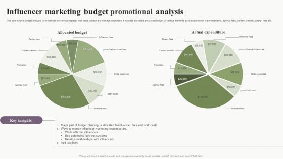 Influencer Marketing Budget Promotional Analysis Download PDF