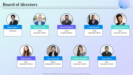 Information Analytics Company Outline Board Of Directors Formats PDF