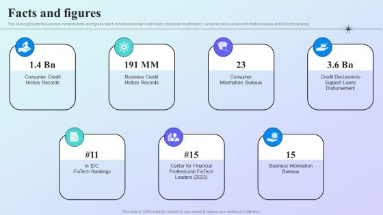 Information Analytics Company Outline Facts And Figures Sample PDF