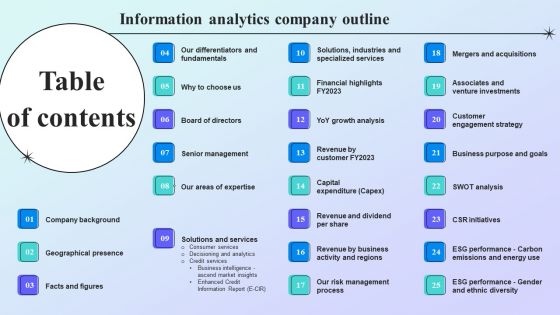 Information Analytics Company Outline Tables Of Content Template PDF