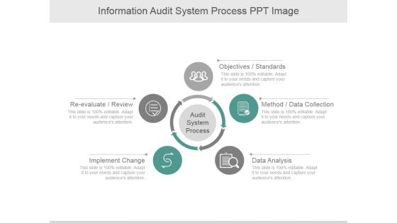 Information Audit System Process Ppt PowerPoint Presentation Ideas