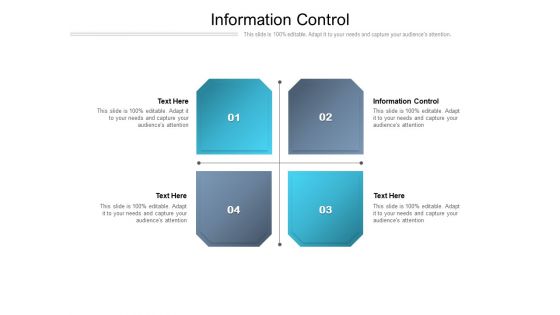 Information Control Ppt PowerPoint Presentation Pictures Files Cpb Pdf