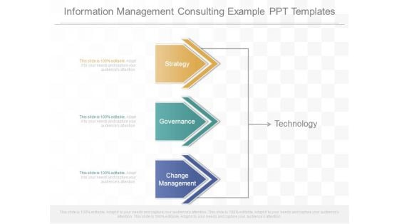 Information Management Consulting Example Ppt Templates