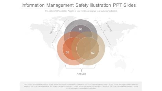 Information Management Safety Illustration Ppt Slides