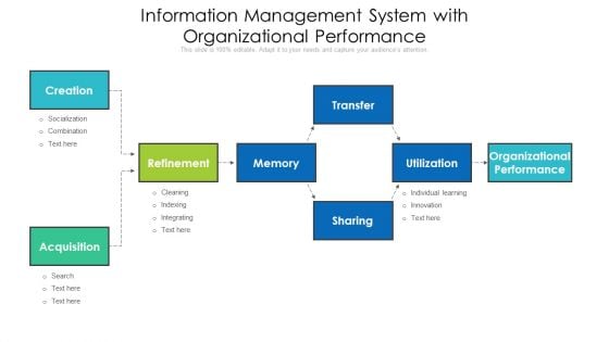 Information Management System With Organizational Performance Portrait PDF