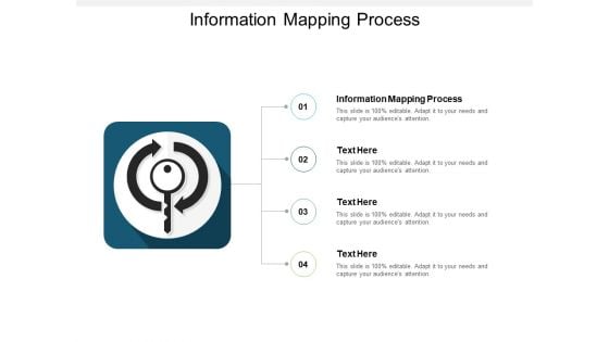 Information Mapping Process Ppt PowerPoint Presentation Summary Microsoft Cpb