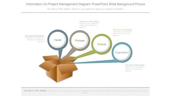 Information On Project Management Diagram Powerpoint Slide Background Picture