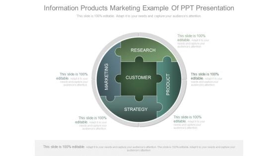 Information Products Marketing Example Of Ppt Presentation