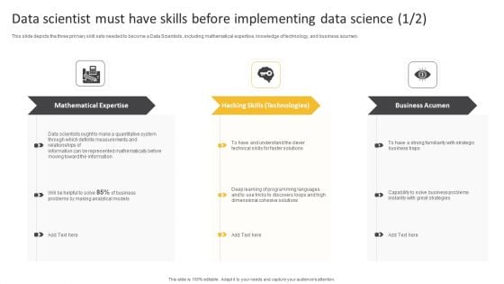 Information Science Data Scientist Must Have Skills Before Implementing Data Science Ppt PowerPoint Presentation Summary Portrait PDF