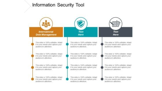 Information Security Tool Ppt PowerPoint Presentation Summary Portrait Cpb