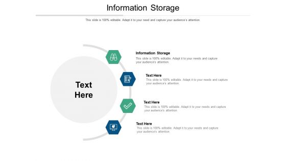 Information Storage Ppt PowerPoint Presentation Pictures Demonstration Cpb