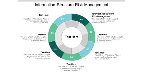 Information Structure Risk Management Ppt PowerPoint Presentation File Graphics Example Cpb Information Structure Risk Management Ppt PowerPoint Presentation File Graphics Example Cpb