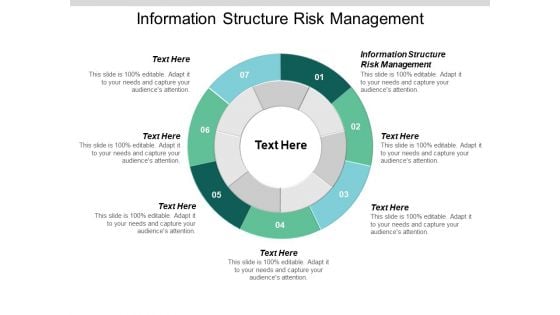 Information Structure Risk Management Ppt PowerPoint Presentation File Graphics Example Cpb