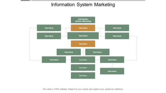 Information System Marketing Ppt PowerPoint Presentation Styles Display Cpb