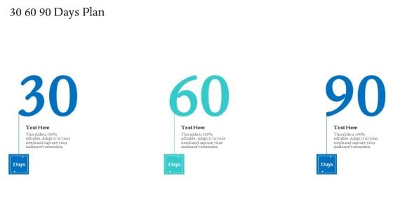 Information Technology Facilities Governance 30 60 90 Days Plan Ppt Layouts Aids PDF