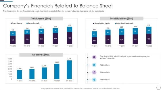 Information Technology Firm Report Example Companys Financials Related To Balance Sheet Professional PDF