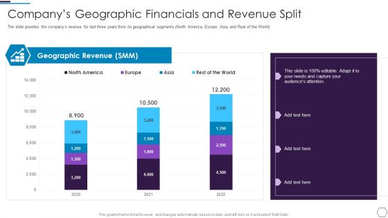 Information Technology Firm Report Example Companys Geographic Financials Split Download PDF