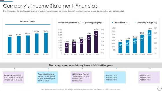 Information Technology Firm Report Example Companys Income Statement Financials Structure PDF