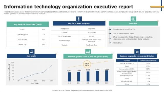 Information Technology Organization Executive Report Inspiration PDF