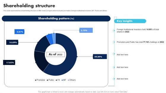 Information Technology Solutions Company Outline Shareholding Structure Themes PDF
