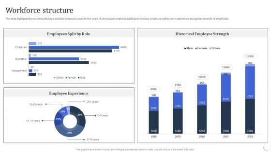 Infotech Solutions Research And Development Company Summary Workforce Structure Topics PDF