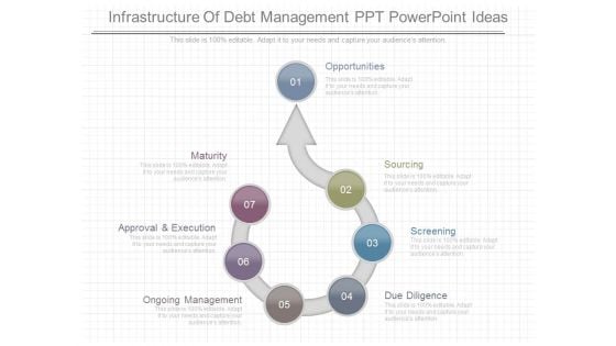 Infrastructure Of Debt Management Ppt Powerpoint Ideas