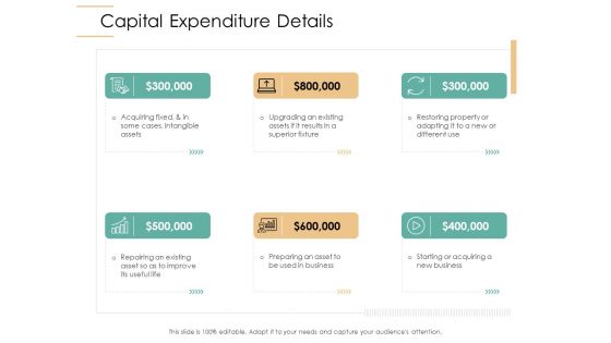 Infrastructure Strategies Capital Expenditure Details Ppt Professional Pictures PDF