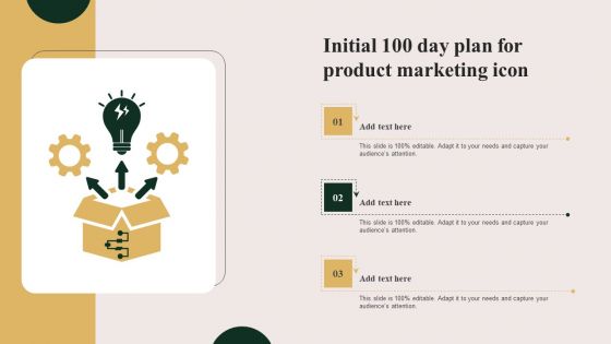 Initial 100 Day Plan For Product Marketing Icon Guidelines PDF