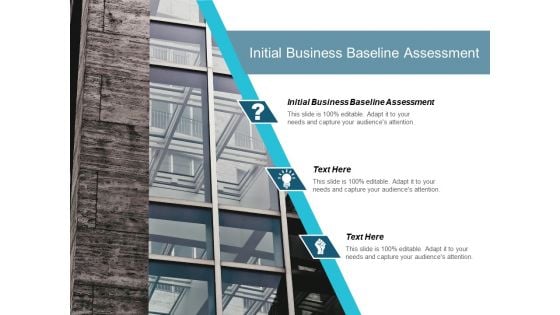 Initial Business Baseline Assessment Ppt PowerPoint Presentation Pictures Portrait Cpb