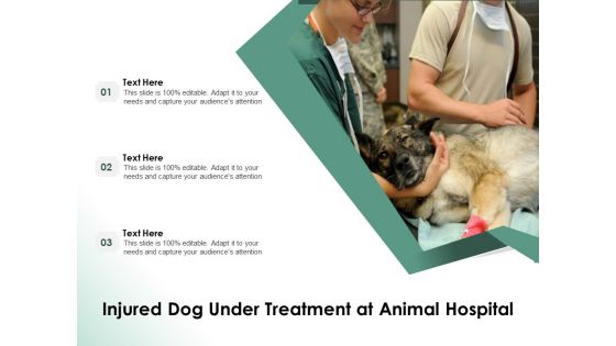 Injured Dog Under Treatment At Animal Hospital Ppt PowerPoint Presentation Infographics Skills PDF