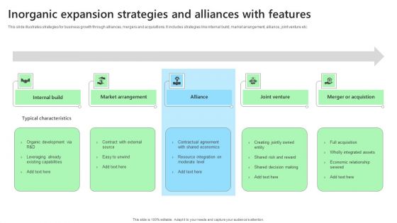 Inorganic Expansion Strategies And Alliances With Features Sample PDF