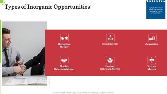 Inorganic Growth Business Types Of Inorganic Opportunities Merger Ppt Icon Vector PDF