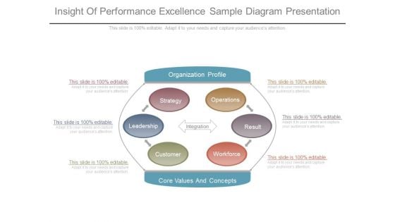 Insight Of Performance Excellence Sample Diagram Presentation