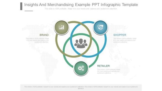 Insights And Merchandising Example Ppt Infographic Template