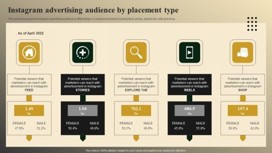 Instagram Advertising Audience By Placement Type Diagrams PDF