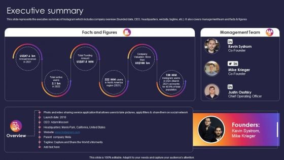 Instagram Company Details Executive Summary Graphics PDF Instagram Company Details Executive Summary Graphics PDF