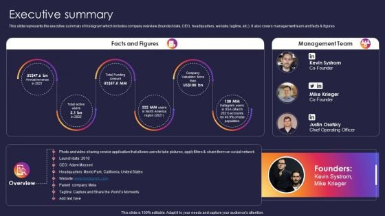 Instagram Company Details Executive Summary Graphics PDF