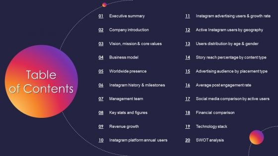 Instagram Company Details Table Of Contents Designs PDF