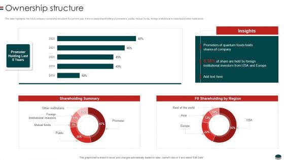 Instant Snacks And Food Firm Details Ownership Structure Demonstration PDF